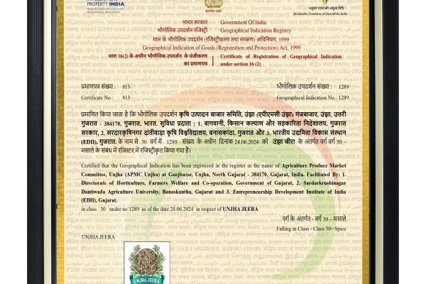 unjha-jeera1221F5E2-10B9-A088-79AA-E986DB0DA1BD.jpeg